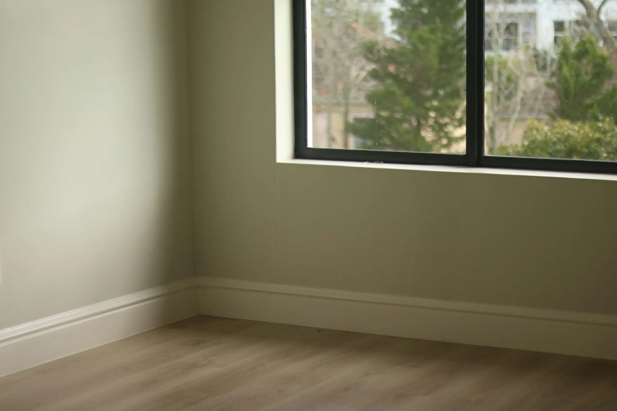 Freshly painted sage green room with white baseboards and a large window